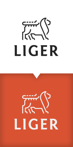 Projekt logo dla Liger